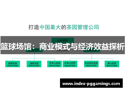 篮球场馆：商业模式与经济效益探析
